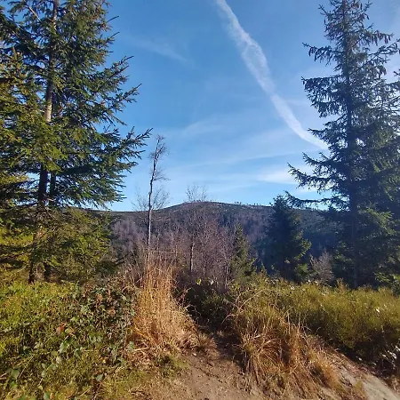 בית הארחה Z Widokiem Na Beskid Arena