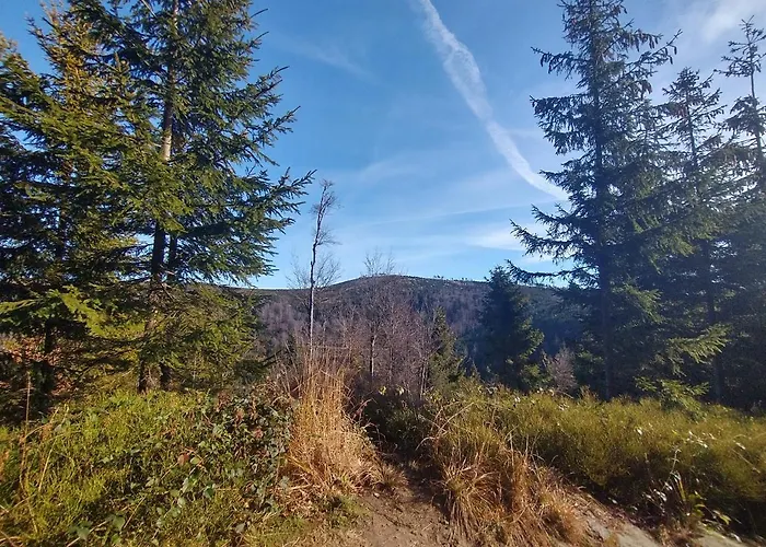 Guest house Z Widokiem Na Beskid Arena