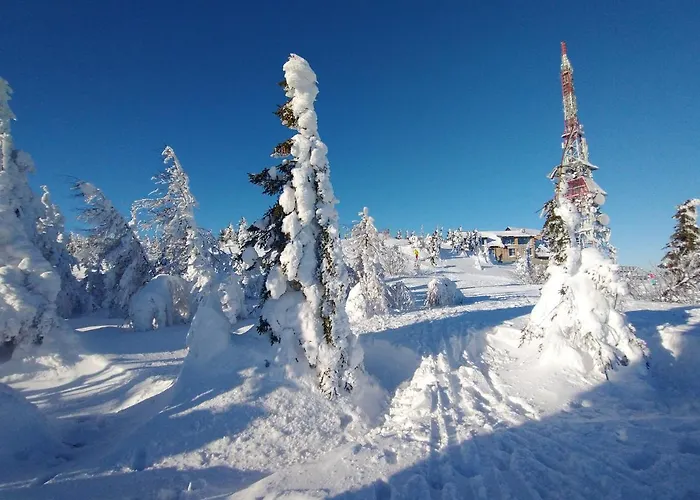 Z Widokiem Na Beskid Arena Guest house